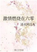 激情燃烧的六零