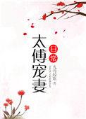 太傅宠妻日常全文阅读