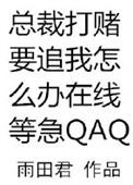 总裁打赌要追我怎么办在线等急讲了什么