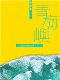 青梅屿攻的孩子是谁的