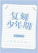 复刻少年期重生txt宝书网