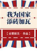 我为国家添砖加瓦[六零