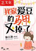 我家爱豆的马甲又掉了txt