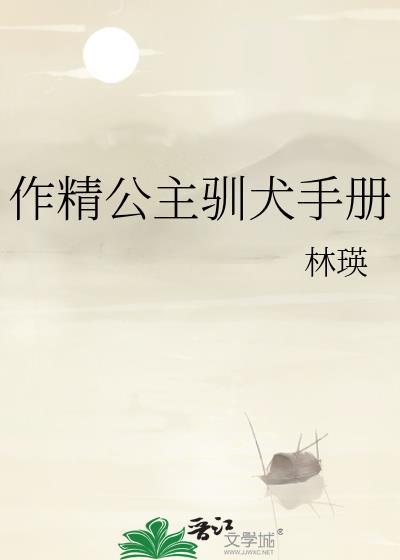 作精公主追夫记电视剧