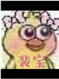 裴宝顺中医