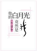 他的白月光竟然是我未删减