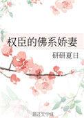 权臣的佛系娇妻番外txt