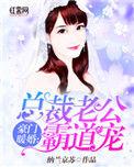 豪门暖婚总裁老公霸道宠txt
