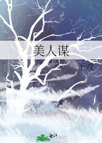 美人谋电视剧