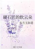 硬石匠的软云朵无错网