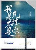 我是不是见过你歌词