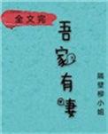 在下有眼无珠宋晚清