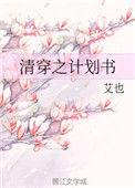 清穿之hp