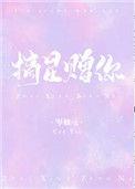 摘星赠你完结了吗