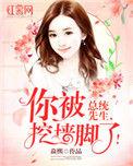 傅先生你失庞了457集