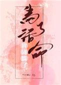 金口良缘txt