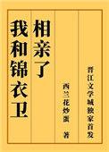 我的锦衣卫大人差不多的文