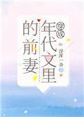 穿成年代文里的前妻格格党