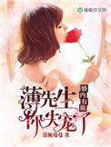 婚内有轨薄先生你失宠了