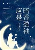 应是暗香盈袖作者山有嘉卉