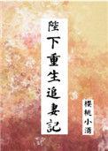 陛下重生追妻记书包网