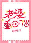 老婆重回十七岁格格党