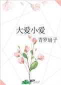 大爱小爱无防盗
