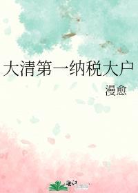 大清一年的税收有多少