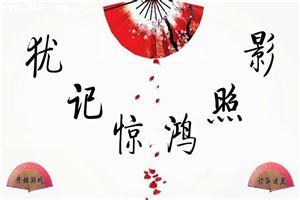 犹记惊鸿照影经典语录