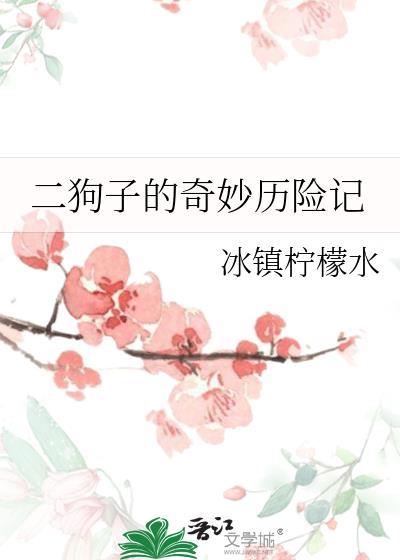 二狗子历险记怎么挂机