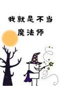 我就是不当魔法师漫画