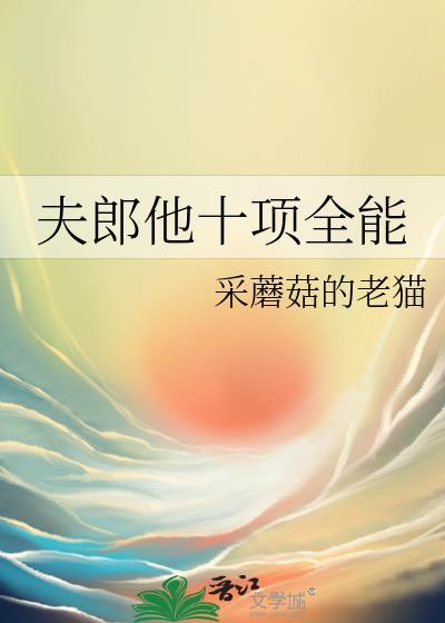 夫郎他十项全能讲的什么