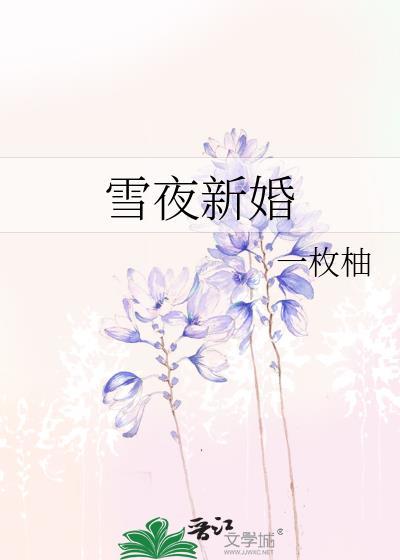 雪夜新婚免费阅读全文无弹窗全文
