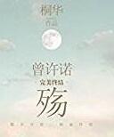 曾许诺·殇 简介