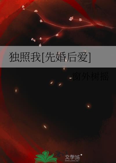 歌曲独照的含义