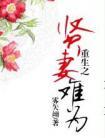 重生之贤妻难当好看吗
