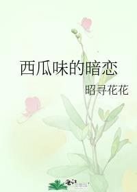 西瓜味的风和你作者陆桐