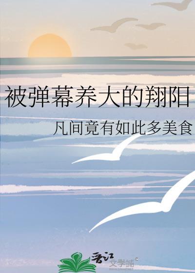 弹幕养大的翔阳TXT奇书网