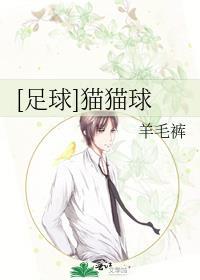 足球猫猫球免费阅读全文