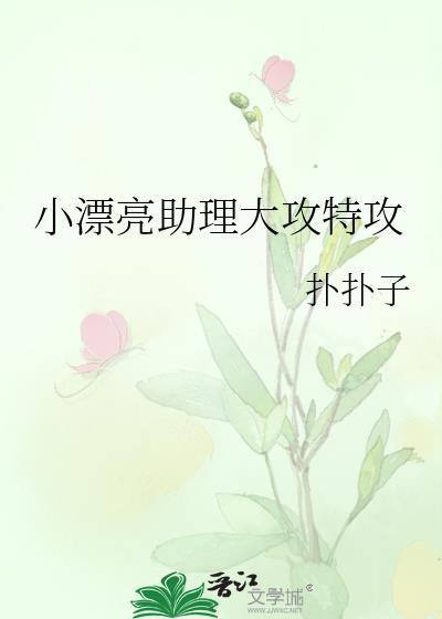 小漂亮助理大攻特攻笔趣阁
