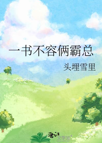 一书不容俩霸总讲的什么