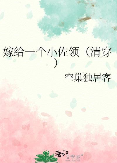 嫁给一个小佐领(清穿)番外
