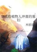 穿成给植物人冲喜的寡妇22 木妖娆