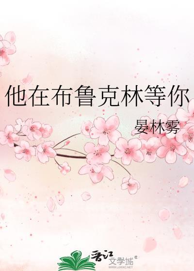 他在布鲁克林等你讲了什么