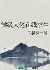 满级大佬在线求生TXT