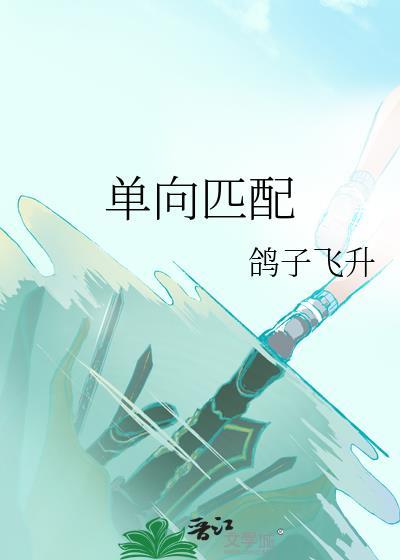 单向匹配by鸽子飞升番外