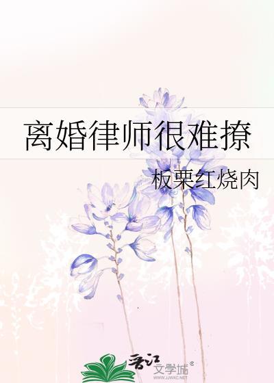 我离婚律师