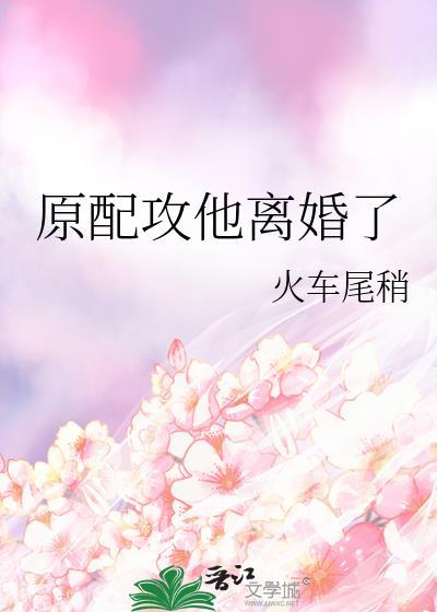 原配攻他离婚了免费阅读