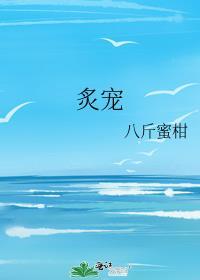 炙宠txt