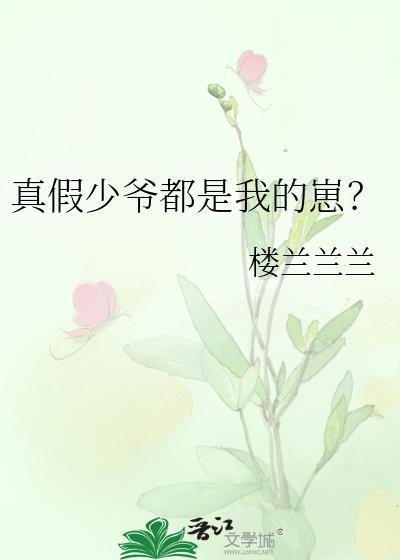 真假少爷笔趣阁